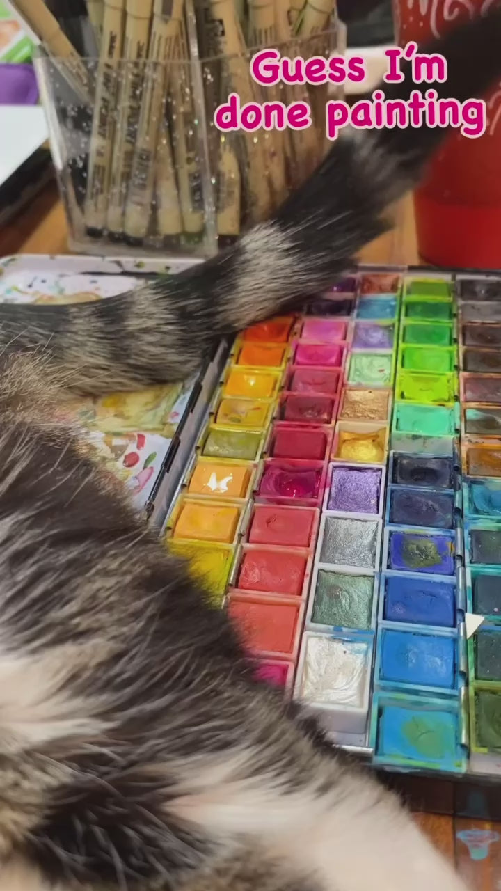 funny cat video in my art studio